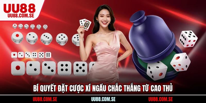Bí quyết đặt cược xí ngầu chắc thắng từ cao thủ