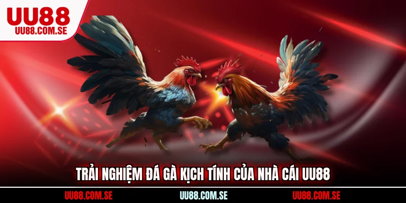 Trải nghiệm đá gà kịch tính của nhà cái UU88